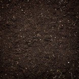 Fertilizzanti per la Terra - Agrow.it